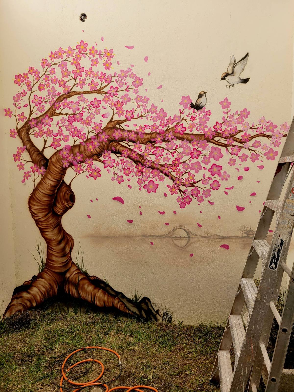 An indoor wall painted with a twisting cherry-blossom tree, pink petals falling and two small birds, with a ladder still leaning at the right.